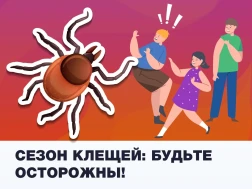 Сезон клещей: спасаемся от боррелиоза правильно.