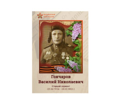 Гончаров Василий Николаевич Гончаров Василий Николаевич.