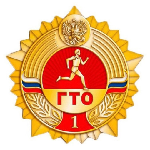 ГТО. Какие привилегии дает знак ГТО? ГТО. Какие привилегии дает знак ГТО?.
